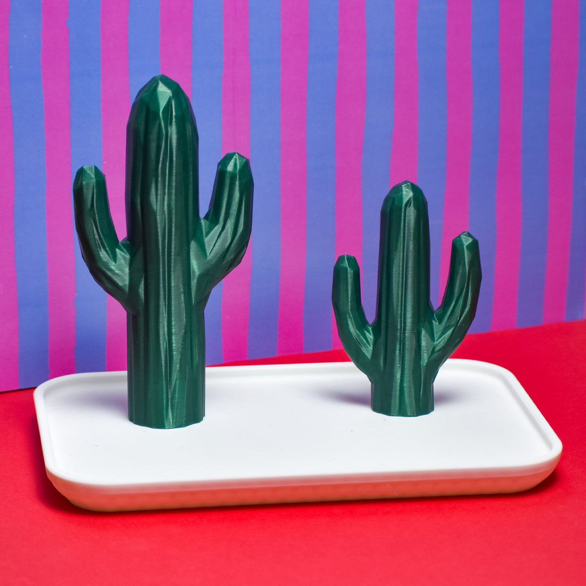 Cactus Jewellery Holder