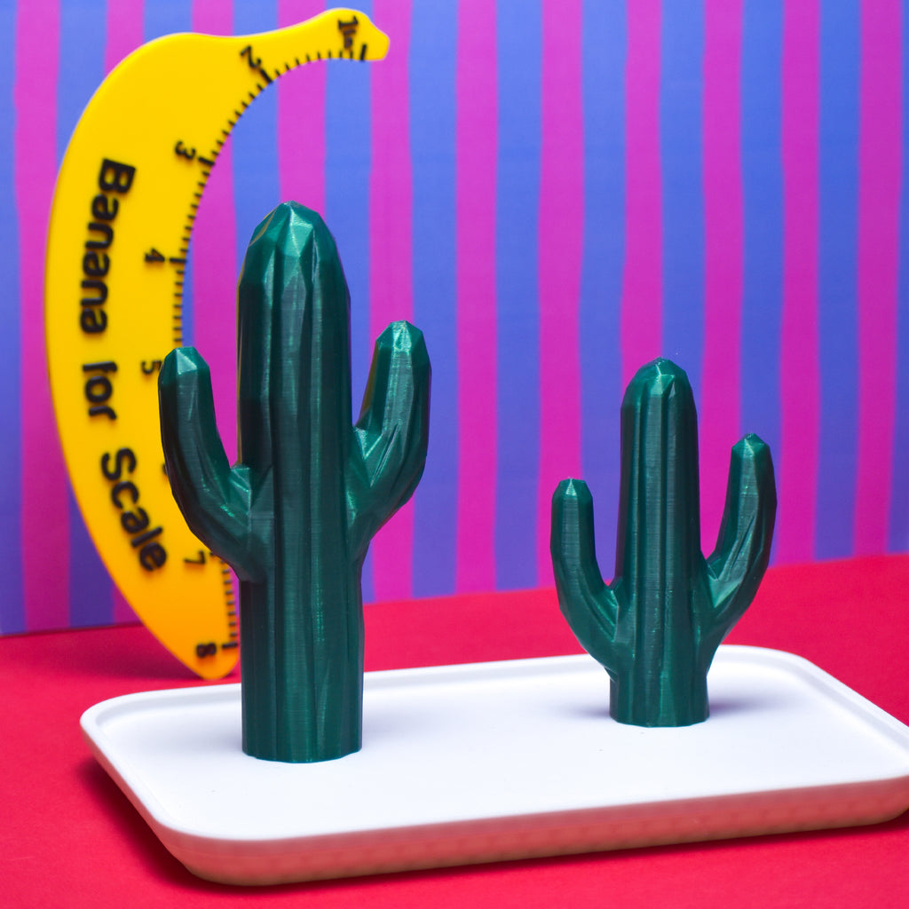 Cactus Jewellery Holder