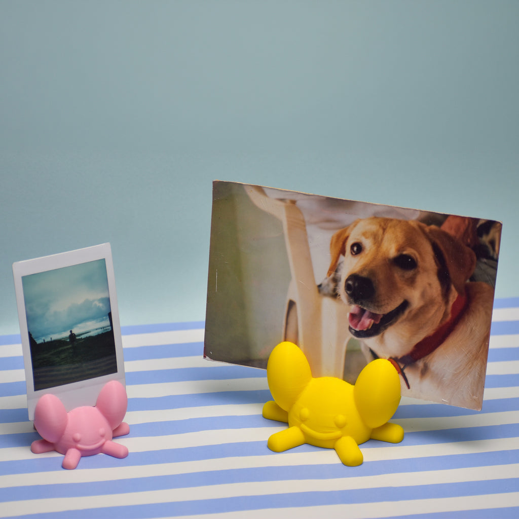 Crab Photo Holder