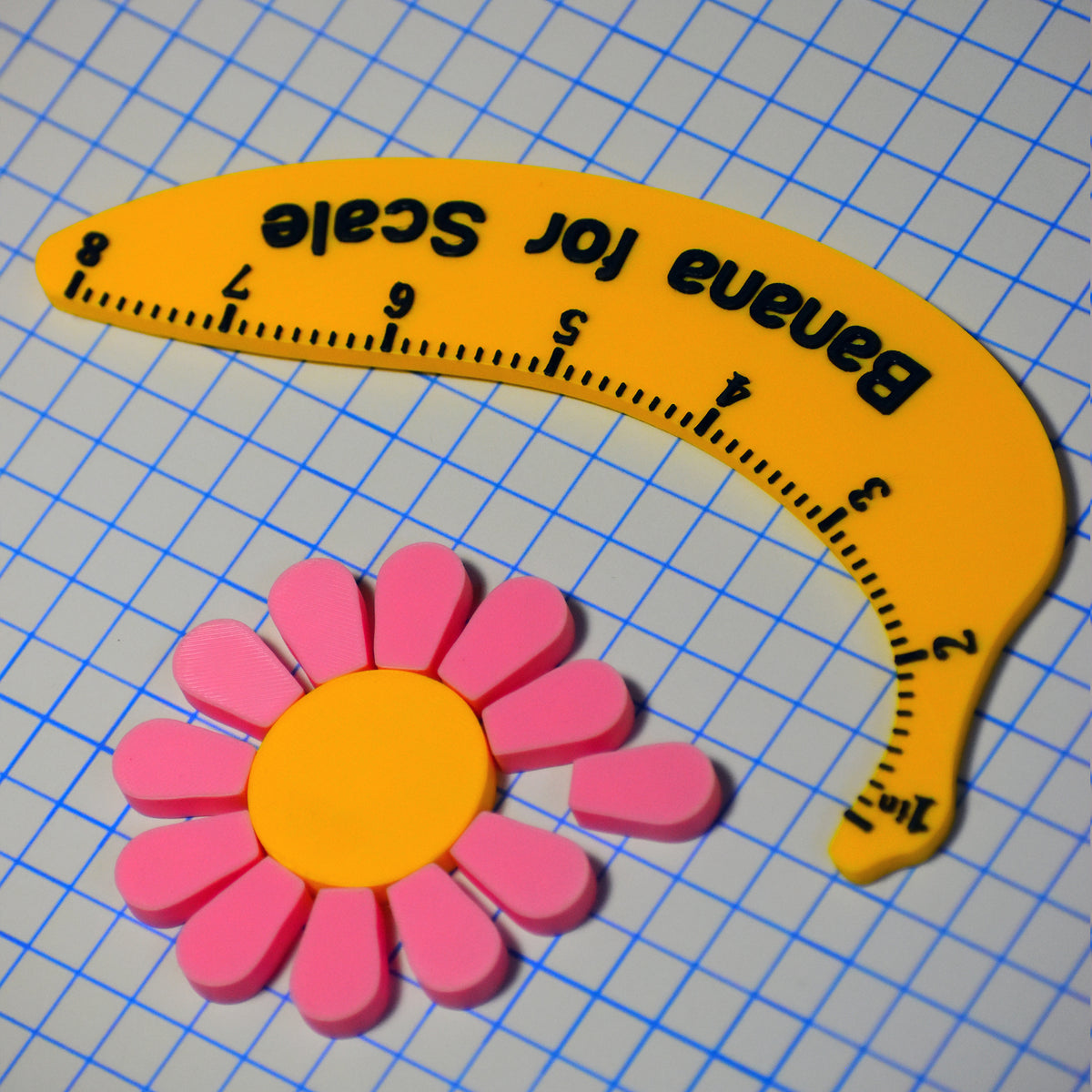 Daisy Magnet Set