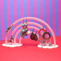Rainbow Earring Holder